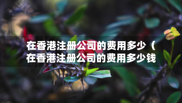 在香港注册公司的费用多少（在香港注册公司的费用多少钱）
