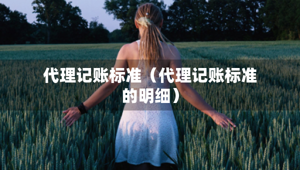 代理记账标准（代理记账标准的明细）