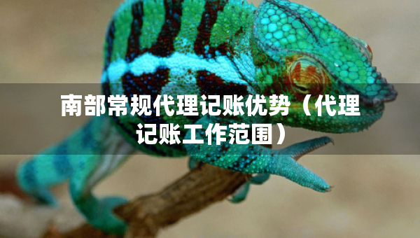 南部常规代理记账优势（代理记账工作范围）