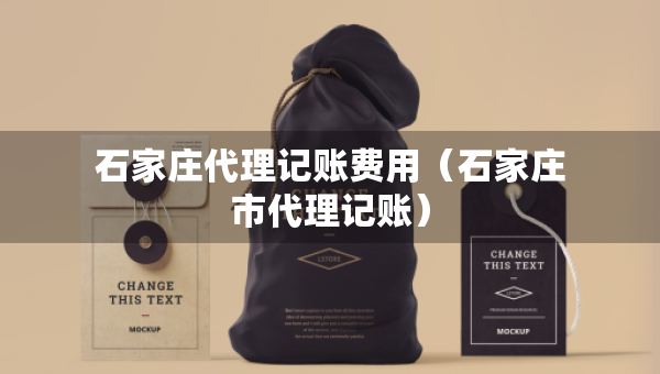 石家庄代理记账费用（石家庄市代理记账）