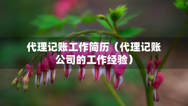 代理记账工作简历（代理记账公司的工作经验）