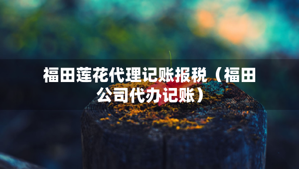 福田莲花代理记账报税（福田公司代办记账）