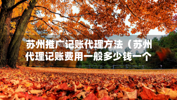 苏州推广记账代理方法（苏州代理记账费用一般多少钱一个月）