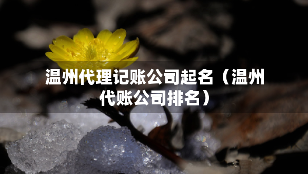 温州代理记账公司起名（温州代账公司排名）