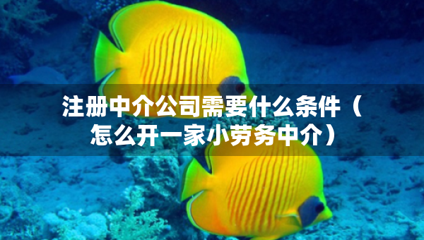 注册中介公司需要什么条件（怎么开一家小劳务中介）