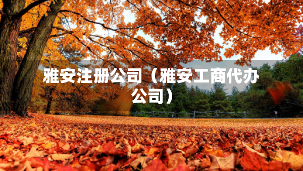 雅安注册公司（雅安工商代办公司）