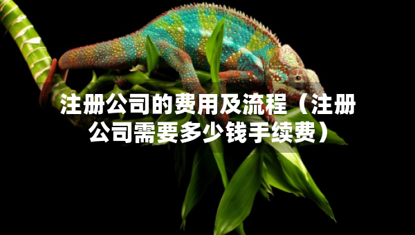 注册公司的费用及流程（注册公司需要多少钱手续费）