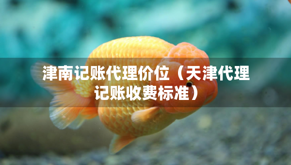 津南记账代理价位（天津代理记账收费标准）