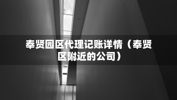 奉贤园区代理记账详情（奉贤区附近的公司）