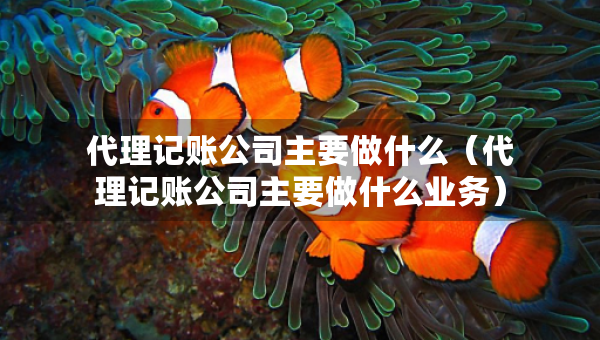 代理记账公司主要做什么（代理记账公司主要做什么业务）