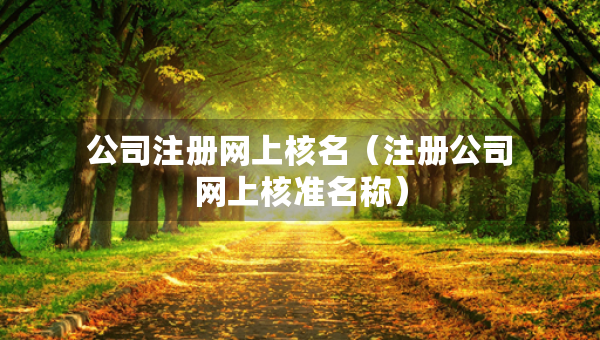 公司注册网上核名（注册公司网上核准名称）