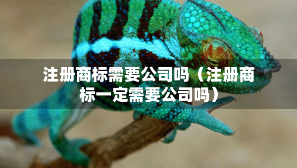 注册商标需要公司吗（注册商标一定需要公司吗）