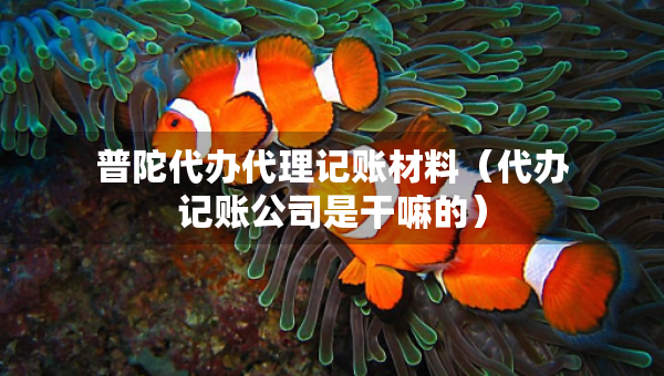 普陀代办代理记账材料(代办记账公司是干嘛的) 普陀代办代理记账材料(代办记账公司是干嘛的)