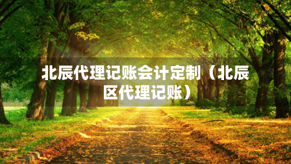 北辰代理记账会计定制（北辰区代理记账）