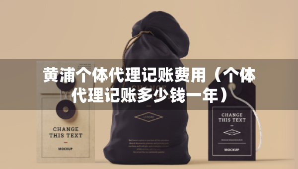 黄浦个体代理记账费用（个体代理记账多少钱一年）