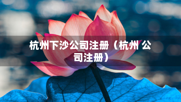 杭州下沙公司注册（杭州 公司注册）