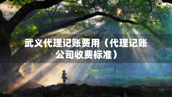 武义代理记账费用（代理记账公司收费标准）
