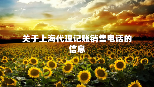 关于上海代理记账销售电话的信息