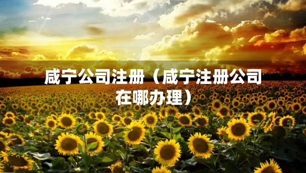 咸宁公司注册（咸宁注册公司在哪办理）