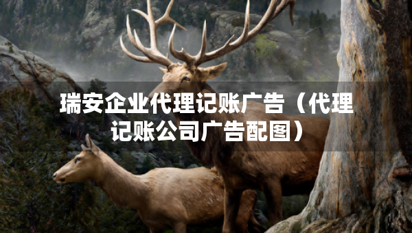 瑞安企业代理记账广告（代理记账公司广告配图）