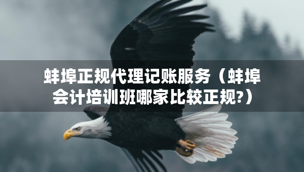 蚌埠正规代理记账服务（蚌埠会计培训班哪家比较正规?）