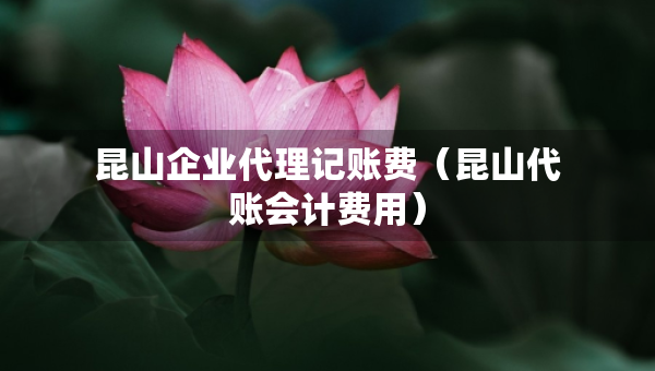 昆山企业代理记账费（昆山代账会计费用）
