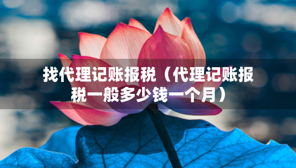 找代理记账报税（代理记账报税一般多少钱一个月）
