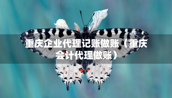 重庆企业代理记账做账（重庆会计代理做账）