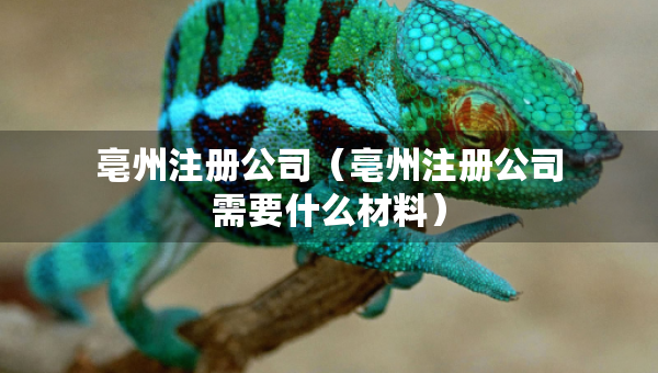亳州注册公司（亳州注册公司需要什么材料）