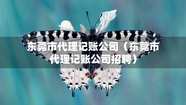 东莞市代理记账公司（东莞市代理记账公司招聘）