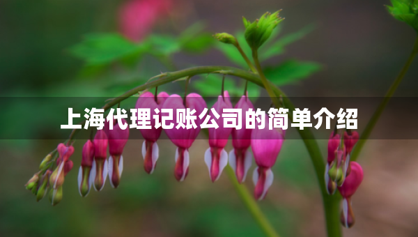 上海代理记账公司的简单介绍