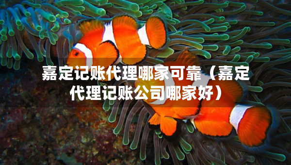 嘉定记账代理哪家可靠（嘉定代理记账公司哪家好）