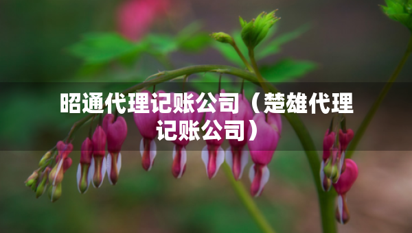 昭通代理记账公司（楚雄代理记账公司）