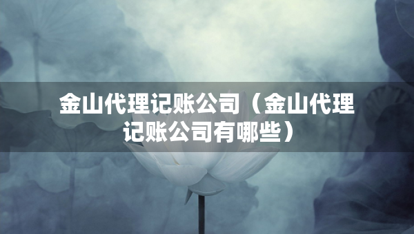 金山代理记账公司（金山代理记账公司有哪些）