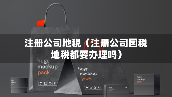 注册公司地税（注册公司国税地税都要办理吗）