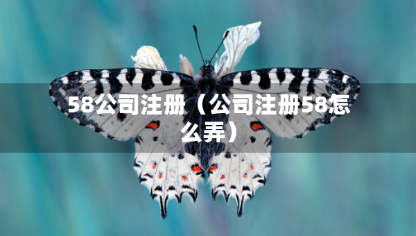 58公司注册（公司注册58怎么弄）