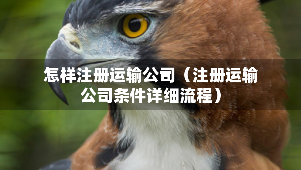 怎样注册运输公司（注册运输公司条件详细流程）