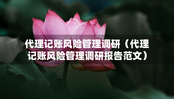 代理记账风险管理调研（代理记账风险管理调研报告范文）