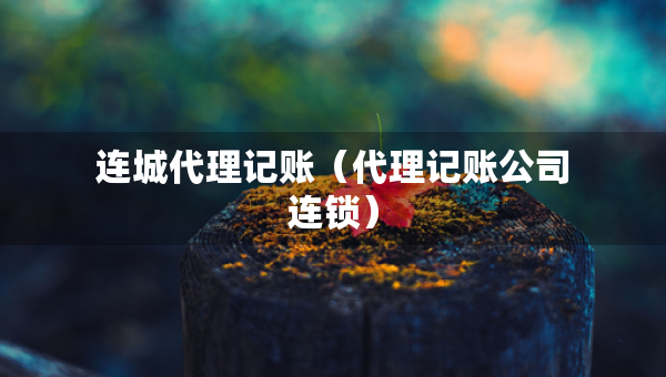 连城代理记账（代理记账公司连锁）