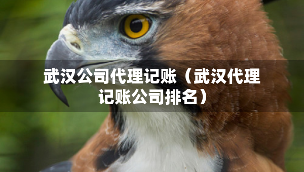 武汉公司代理记账（武汉代理记账公司排名）