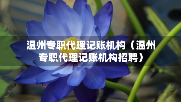 温州专职代理记账机构（温州专职代理记账机构招聘）