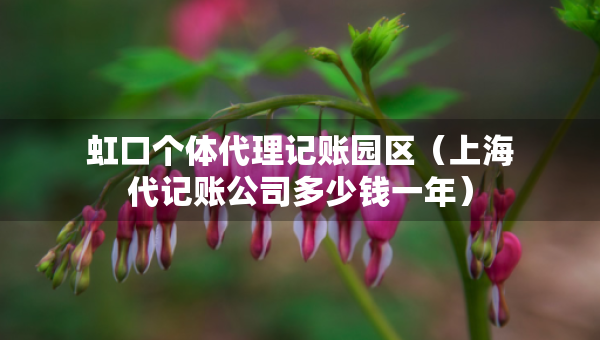 虹口个体代理记账园区（上海代记账公司多少钱一年）