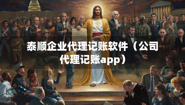 泰顺企业代理记账软件（公司代理记账app）