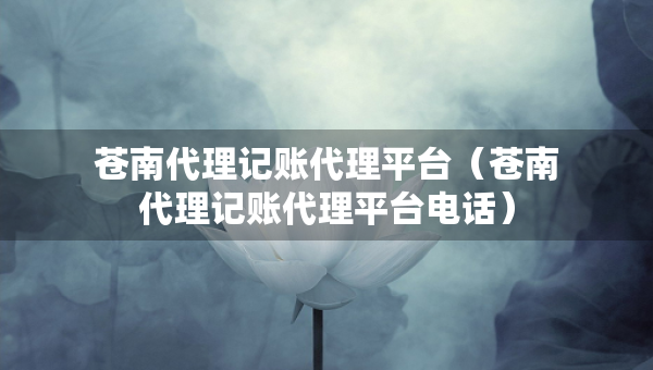 苍南代理记账代理平台（苍南代理记账代理平台电话）
