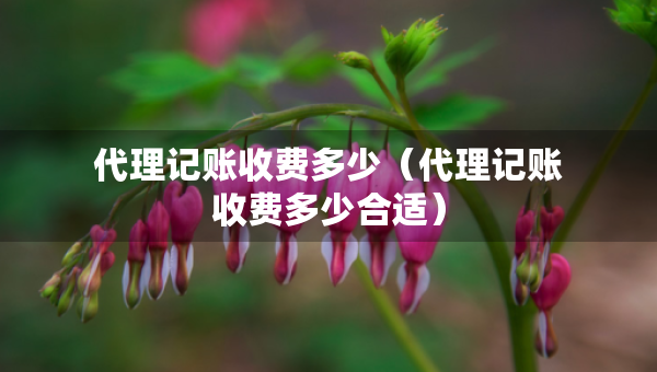 代理记账收费多少（代理记账收费多少合适）