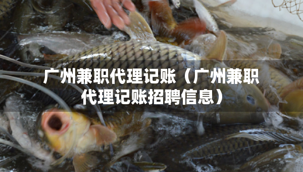 广州兼职代理记账（广州兼职代理记账招聘信息）