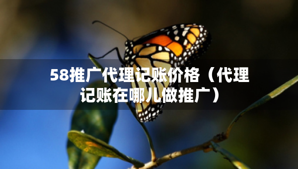 58推广代理记账价格（代理记账在哪儿做推广）