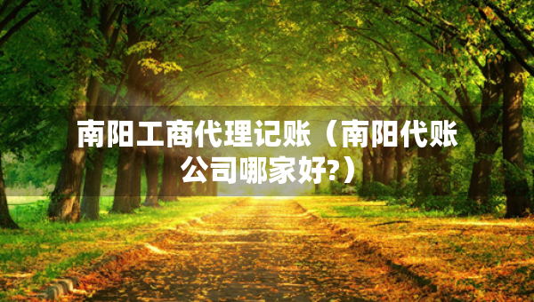 南阳工商代理记账（南阳代账公司哪家好?）