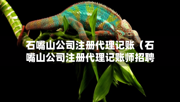 石嘴山公司注册代理记账（石嘴山公司注册代理记账师招聘）