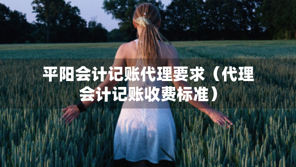 平阳会计记账代理要求（代理会计记账收费标准）